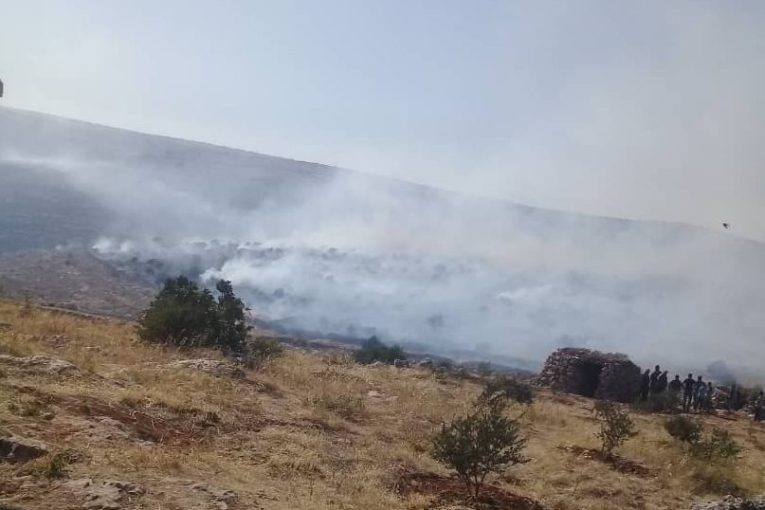 Bi vîdeo: dagirkeriya Tirkî agir bi darên her du gundê Meyase û Bircqasê xist