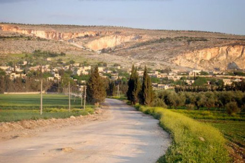 Niştedagîr berhemên fistiqhelebî yên şêniyên gundê Qîbarê yê bajarê Efrînê talan dikin