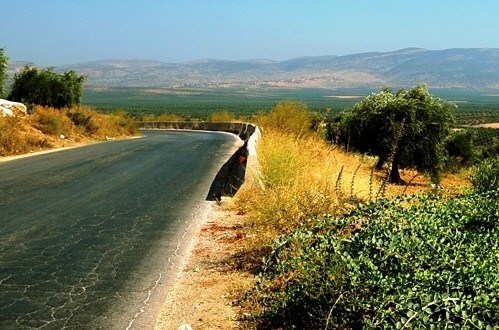 Şêniyekî Kurd li ser rêya gundê Hebo-Efrînê hat revandina