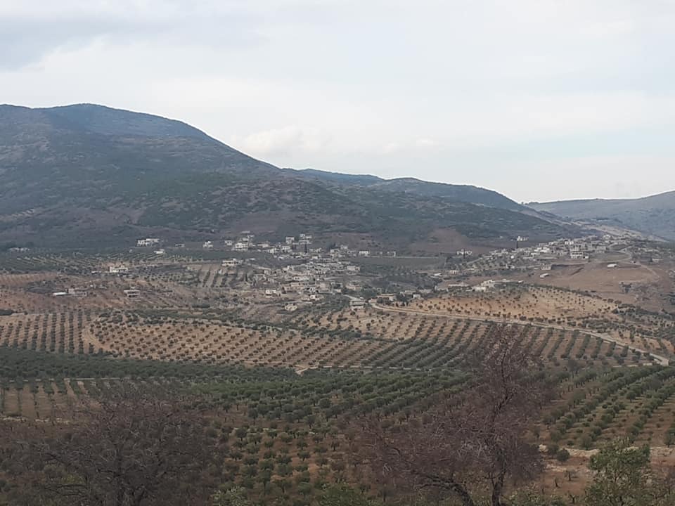 Çekdaran 75 darên zeytûnê li gundê Qurnê yê Efrînê birîn